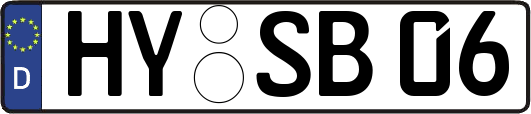 HY-SB06
