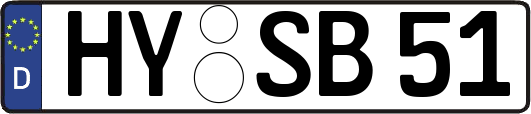 HY-SB51