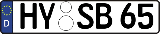 HY-SB65