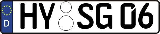 HY-SG06