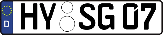 HY-SG07