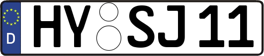 HY-SJ11