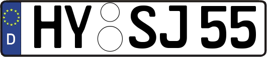 HY-SJ55