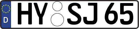 HY-SJ65