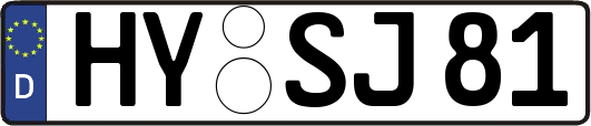 HY-SJ81