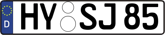 HY-SJ85
