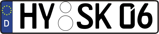 HY-SK06