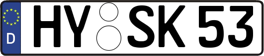 HY-SK53