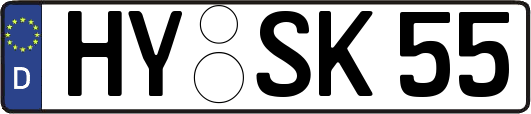 HY-SK55