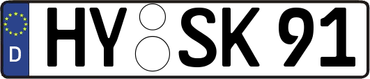 HY-SK91