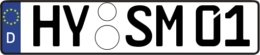 HY-SM01