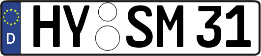HY-SM31