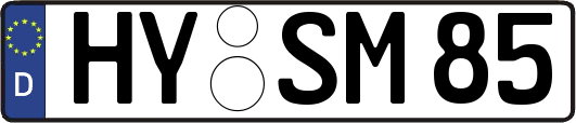 HY-SM85