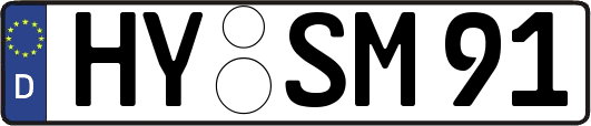 HY-SM91