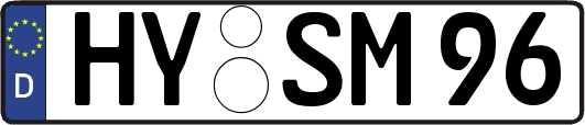 HY-SM96