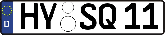 HY-SQ11