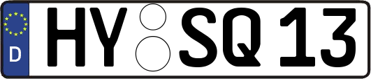 HY-SQ13