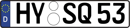 HY-SQ53