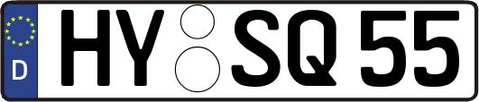 HY-SQ55
