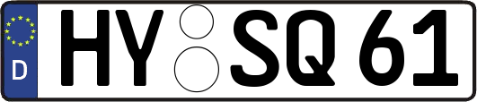 HY-SQ61