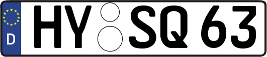 HY-SQ63