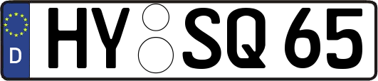 HY-SQ65