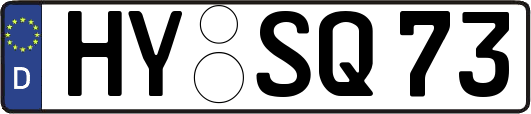 HY-SQ73