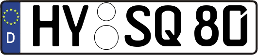 HY-SQ80