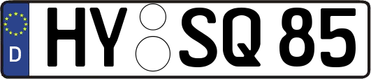 HY-SQ85