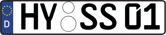 HY-SS01