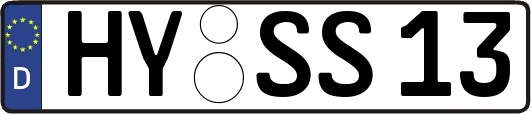 HY-SS13