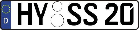 HY-SS20