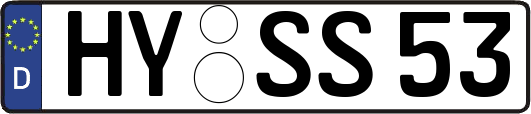 HY-SS53