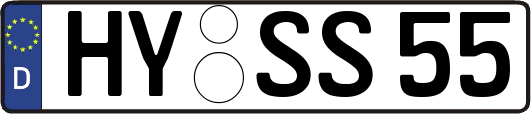 HY-SS55