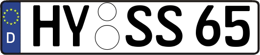 HY-SS65
