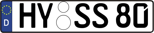 HY-SS80