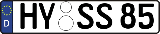 HY-SS85