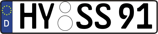 HY-SS91