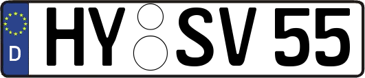 HY-SV55