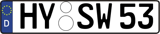 HY-SW53