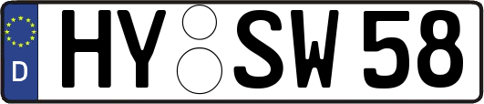 HY-SW58