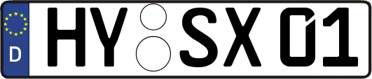 HY-SX01