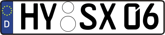 HY-SX06