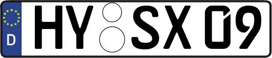 HY-SX09