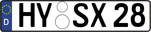 HY-SX28
