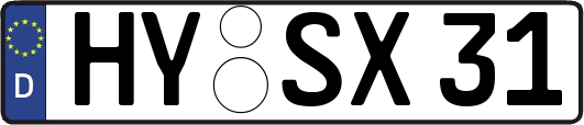 HY-SX31