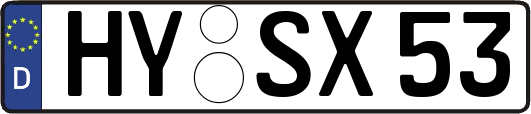 HY-SX53