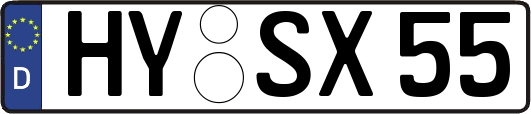 HY-SX55