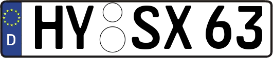 HY-SX63