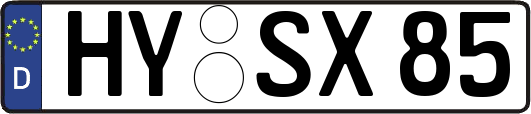 HY-SX85